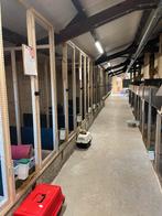 Konijnenopvang / asiel heeft ruimte vrij!, Dieren en Toebehoren, Konijnen, Meerdere dieren, Middelgroot