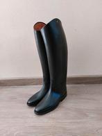 Petrie rijlaarzen - maat 8, Dressuur, Nieuw, Ophalen of Verzenden, Dames