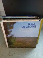 Christelijke muziek LP's/Vinyl., Ophalen of Verzenden, Gebruikt, 12 inch