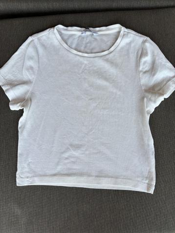 Pigalle t-shirt, cropped top, maat S beschikbaar voor biedingen