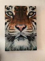 Mooie canvas schilderij leuk bv voor de kinder kamer, Ophalen, 50 tot 75 cm, Zo goed als nieuw, Schilderij