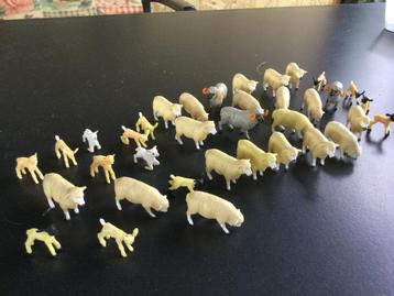 Britains koeien / kalveren / schapen / lammeren beschikbaar voor biedingen