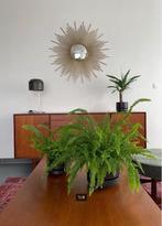 Zonnespiegel 93 cm XXL, Huis en Inrichting, Ophalen, Rond, Zo goed als nieuw, 75 tot 100 cm