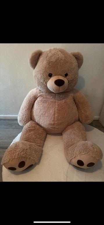 Grote teddy beer beschikbaar voor biedingen