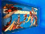 Jumbo Tosai 20-22cm | Marusei Koi Jumbo Tosai Mix, Dieren en Toebehoren, Vissen | Vijvervissen, Karper of Koi