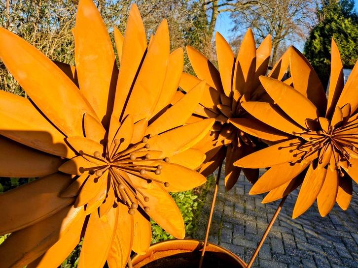 De mooiste grote roestbloemen bij the old way., Antiek en Kunst, Curiosa en Brocante, Ophalen of Verzenden