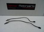 2x Lambdasonde / Lambda sonde Ducati Monster 821 2018-2021, Motoren, Gebruikt, -, -, Ophalen of Verzenden