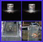 Vijver vissen toren, Ophalen, Zo goed als nieuw