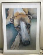 Windhond Whippet in Fotolijst, 50 tot 75 cm, Metaal of Aluminium, Ophalen of Verzenden, Zo goed als nieuw