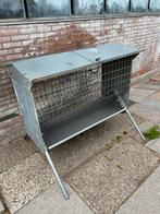 Hooiruif Veno, Dieren en Toebehoren, Weidegang
