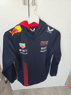 Trui, Kinderen en Baby's, Kinderkleding | Maat 158, Ophalen of Verzenden, Zo goed als nieuw, Trui of Vest