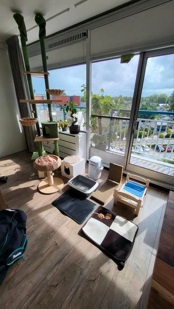 Mooie katten inboedel  beschikbaar voor biedingen