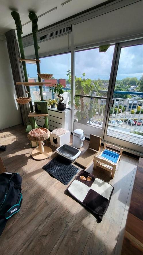 Mooie katten inboedel, Dieren en Toebehoren, Katten-accessoires, Zo goed als nieuw, Ophalen of Verzenden