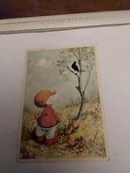 PAULUS. DE BOSKABOUTER.  VOOR HET KIND, Ophalen of Verzenden