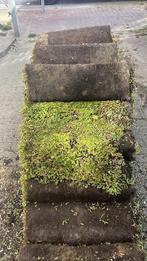 Sedummatten 20m2 + toebehoren, Ophalen of Verzenden, Nieuw, 20 m² of meer, Gras