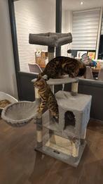 Katten krabpaal gebruikt, Dieren en Toebehoren, Ophalen, Gebruikt, Krabpaal