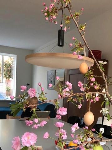 Floating Light Hanglamp Studio Spitsberg (Muuto hay moooi) beschikbaar voor biedingen