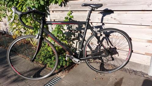 Bulls Vulture 2 (56 cm) wielrenfiets, Fietsen en Brommers, Fietsen | Racefietsen, Gebruikt, Overige merken, Meer dan 20 versnellingen