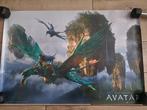 Avatar poster, Ophalen of Verzenden, Zo goed als nieuw, Film, Poster