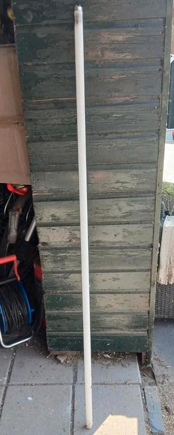Tl buizen philips beschikbaar voor biedingen