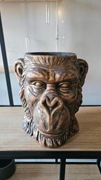 Bloempot aap, Ophalen, Wit