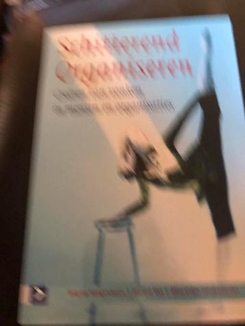 Schitterend Organiseren - Management Boek beschikbaar voor biedingen