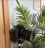 Canon eos 250D, Audio, Tv en Foto, Fotocamera's Digitaal, Ophalen of Verzenden, Zo goed als nieuw, Canon, Geen optische zoom
