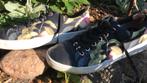 Mooie Ted baker schoenen, Kleding | Dames, Schoenen, Ophalen of Verzenden, Zo goed als nieuw