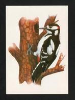 Grote Bonte Specht tegen Boom Dendrocopos Major, Ophalen of Verzenden, 1980 tot heden, Ongelopen, Vogel