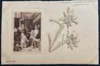 UK 1910 kaart echte edelweiss naast afbeelding schilderij, Verzenden, Voor 1920, Ongelopen, Overige thema's