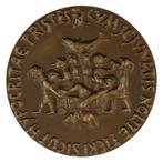 PENNING VPK 1959 Niel Steenbergen : Carnaval º, Verzenden, Brons, Nederland