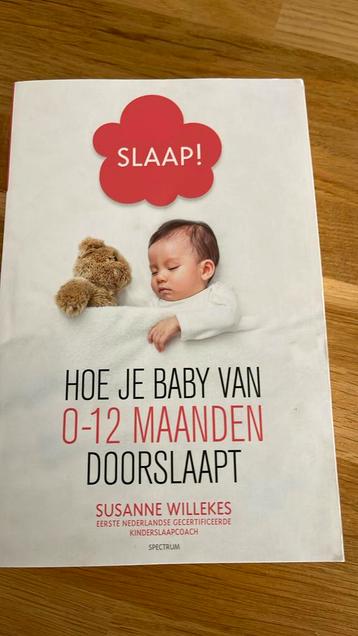 Susanne Willekes - Slaap! beschikbaar voor biedingen