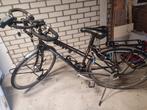 Koga miyata Randonneur Lady. Framemaat 46, 28 inch, Gebruikt, Ophalen of Verzenden, Minder dan 47 cm