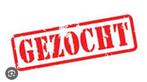 Gezocht weiland te koop of te huur, Dieren en Toebehoren, Stalling en Weidegang, 2 of 3 paarden of pony's