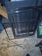 Puppyren, Ophalen of Verzenden