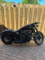 Te koop: Harley Davidson Sportster Iron 883, 2 cilinders, Chopper, 883 cc, Particulier
