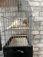 Één Koppel Firino groot en mooi kwalite, Ophalen of Verzenden, Zo goed als nieuw, Hout, Vogelkooi