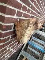 Unieke eiken wanddecoratie, Doe-het-zelf en Verbouw, Hout en Planken, Ophalen, Gebruikt, 25 tot 50 mm, Eiken