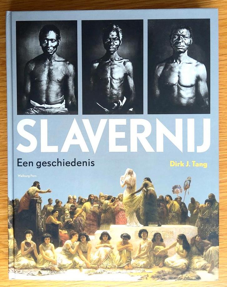 Dirk J. Tang - Slavernij. Een geschiedenis. Indrukwekkend., Boeken, Geschiedenis | Wereld, Zo goed als nieuw, Ophalen of Verzenden
