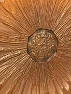 Grote / groot glazen bloemenschaal, Ophalen, Zo goed als nieuw, Rechthoekig, Glas