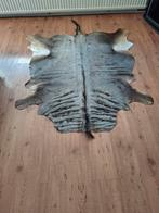 Prachtig blauwe Gnoe huid taxidermie, Ophalen of Verzenden, Zo goed als nieuw, Wild dier, Overige typen