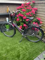 Batavus omafiets frame ongeveer 54, Ophalen, Batavus., Handrem, 53 tot 56 cm