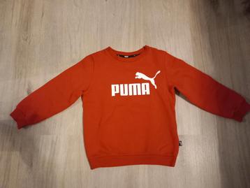 Mooie rode Puma sweater maat 116 beschikbaar voor biedingen