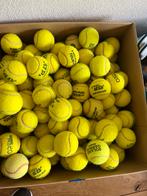 Gebruikte tennisballen, Ophalen, Gebruikt, Hondenballen