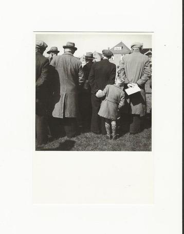 Stierenkeuring Alkmaar - Foto Kees Scheren beschikbaar voor biedingen