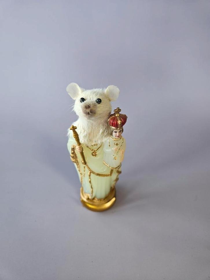 Taxidermie Muis Jezuskind Beeldje, Antiek en Kunst, Curiosa en Brocante, Ophalen of Verzenden