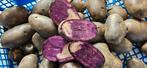 Truffelaardappel nieuwe oogst. Truffel aardappel., Ophalen