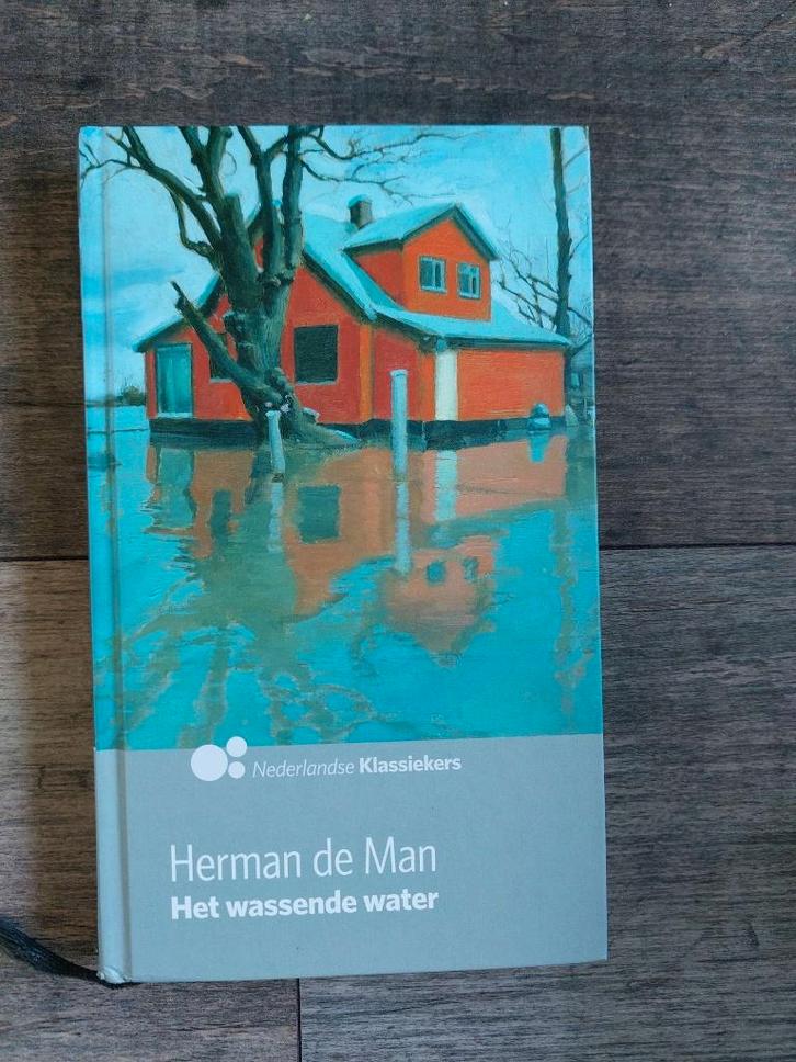 Herman de Man - Het wassende water - Hardcover, Boeken, Romans, Zo goed als nieuw, Ophalen of Verzenden