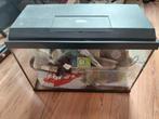 Juwel Aquarium 60cm met toebehoren. Day Controller, planten, Ophalen, Gebruikt, Leeg aquarium