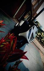 Zip 172/180cc gereviseerd met blok pap, Fietsen en Brommers, Scooters | Piaggio, Ophalen, Tweetakt, Maximaal 45 km/u, Zip